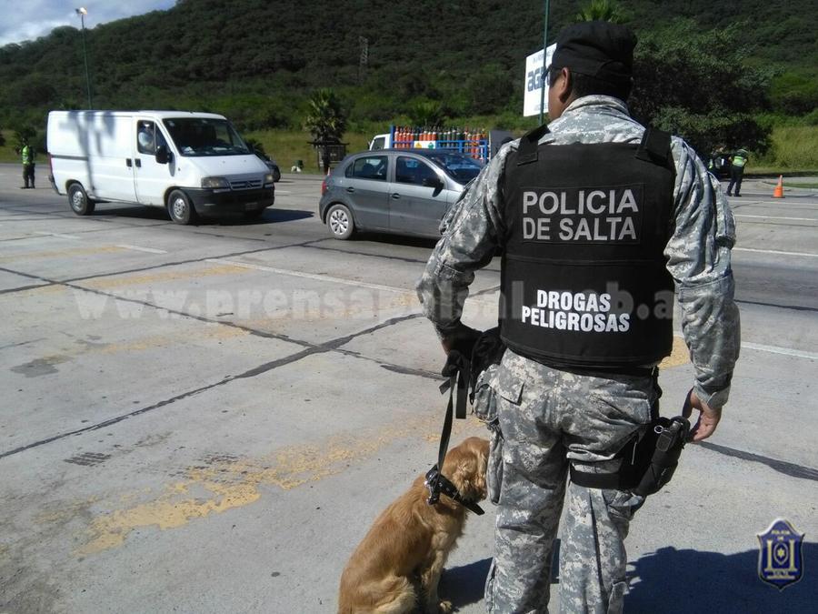 poli-drogas